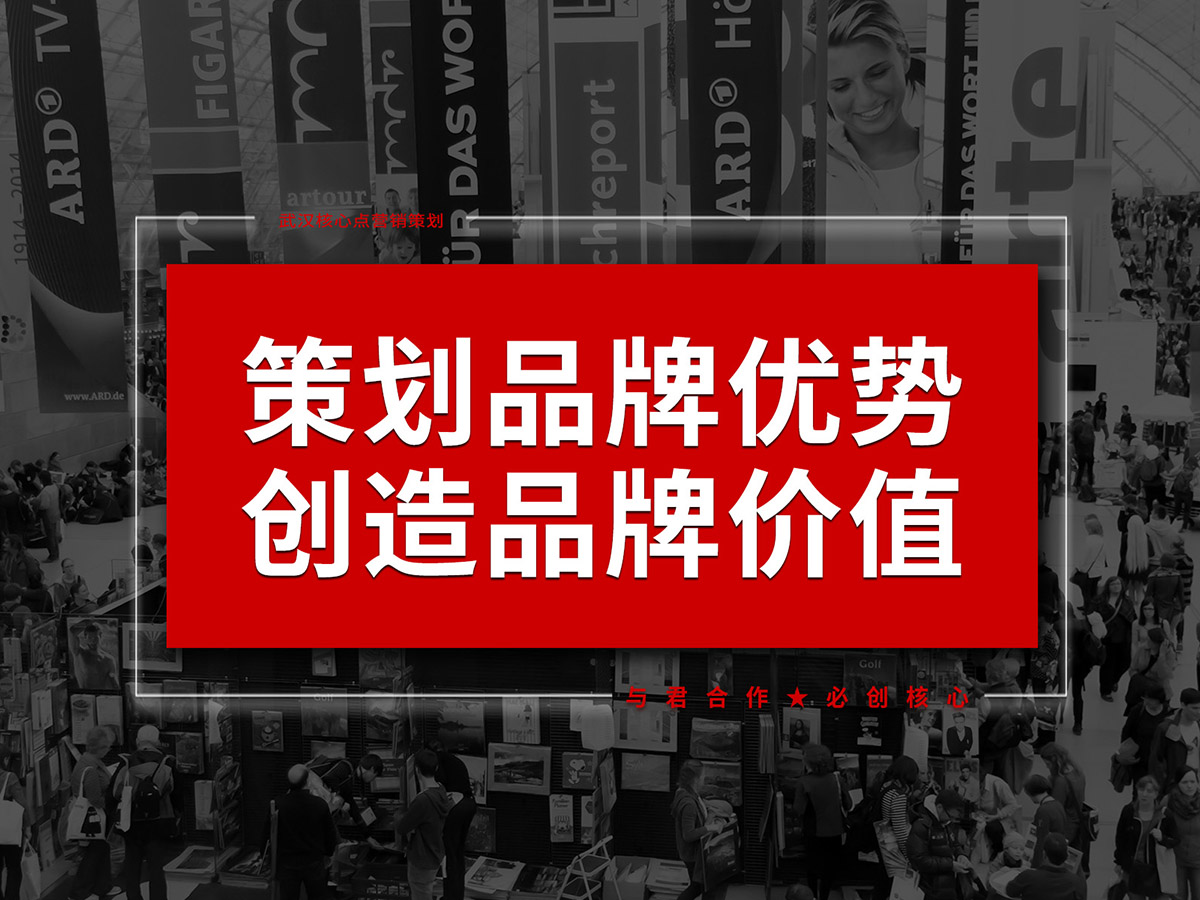 武漢品牌優(yōu)勢策劃設(shè)計，商業(yè)模式策劃